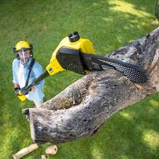 Best Landscape Design and Installation  in Wona Lake, IN